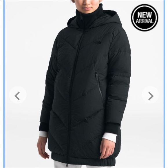 the north face women's albroz vest